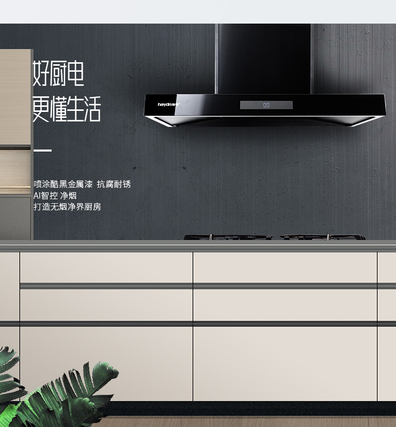 20220331/624551ba8c345.jpg 煙機(jī)--T218_10.jpg